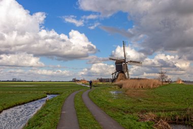 Alblasserwaard polder manzarası