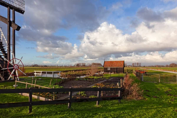 Alblasserwaard polder manzarası