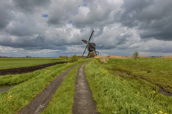 Het Alblasserwaard Polderlandschap — Stockfoto