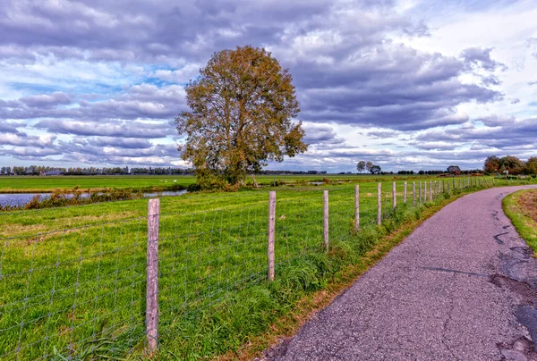 Alblasserwaard polder manzarası