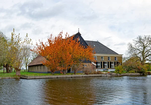 Het Alblasserwaard Polderlandschap — Stockfoto