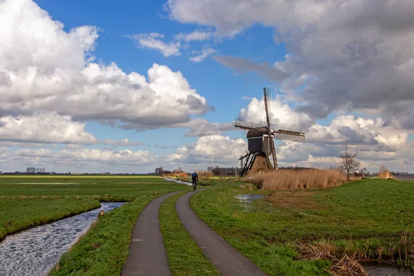 Alblasserwaard polder manzarası