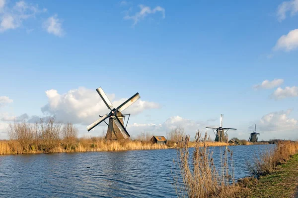 Alblasserwaard polder manzarası