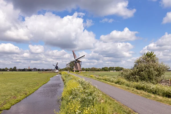 Alblasserwaard polder manzarası