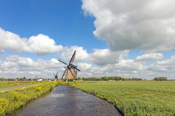 Alblasserwaard polder manzarası