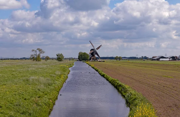 Alblasserwaard polder manzarası