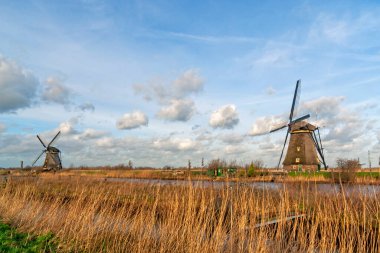 Het Alblasserwaard polder manzara
