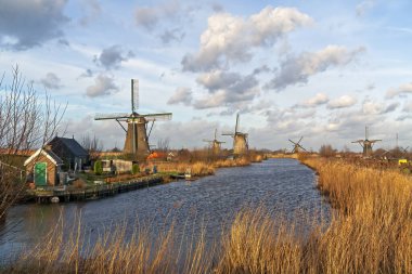 Het Alblasserwaard polder manzara
