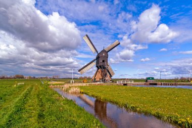 Het Alblasserwaard polder manzara