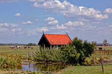 Het Alblasserwaard polder manzara