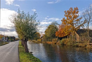 Het Alblasserwaard polder manzara