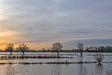Het Alblasserwaard polder manzara