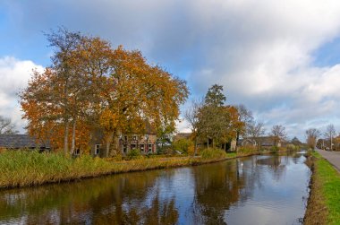 Het Alblasserwaard polder manzara