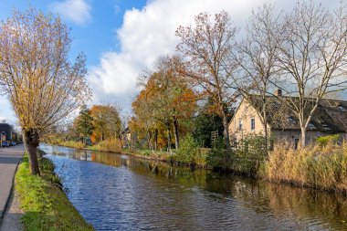 Het Alblasserwaard polder manzara