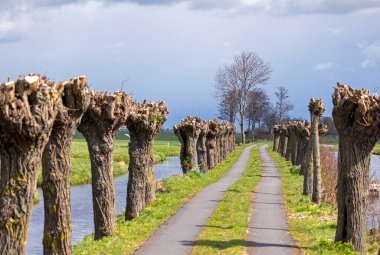 Het Alblasserwaard polder manzara