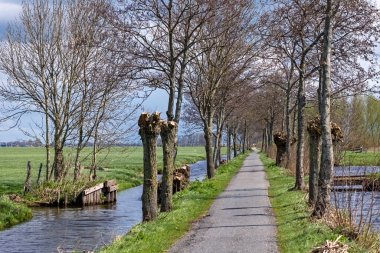 Het Alblasserwaard polder manzara