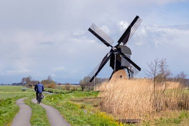 Het Alblasserwaard polder manzara