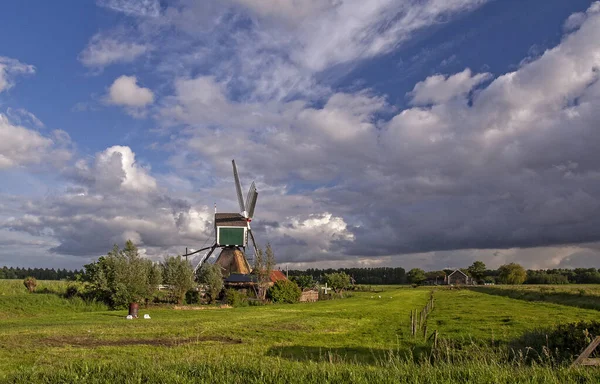 Het Alblasserwaard Polder Landschap — Stock Photo, Image