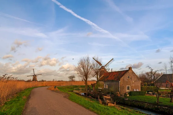 Het Alblasserwaard Polder Landschap — Stockfoto