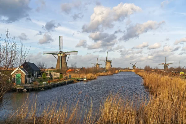 Het Alblasserwaard polder manzara
