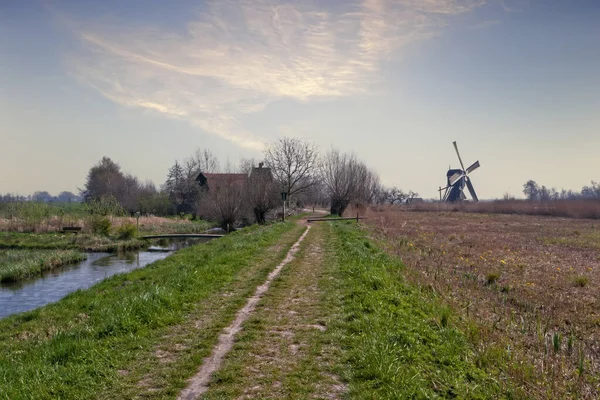 Het Alblasserwaard polder manzara