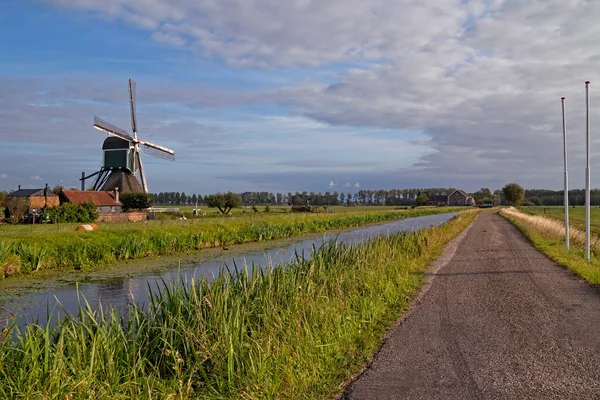 Het Alblasserwaard polder manzara