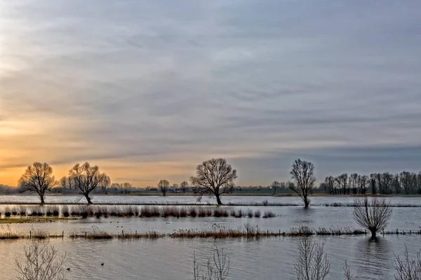 Het Alblasserwaard polder manzara