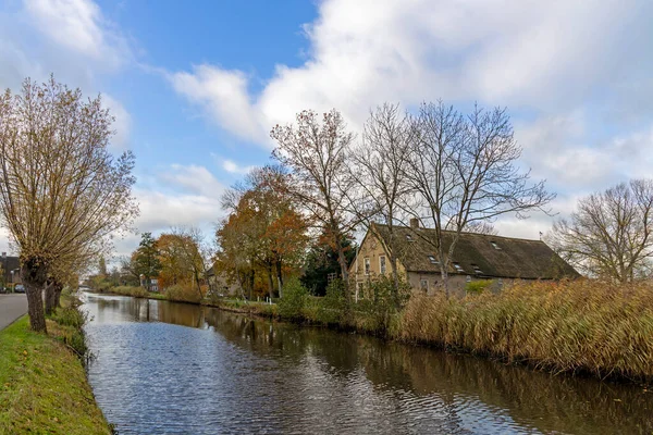 Het Alblasserwaard Polder Landschap — 图库照片