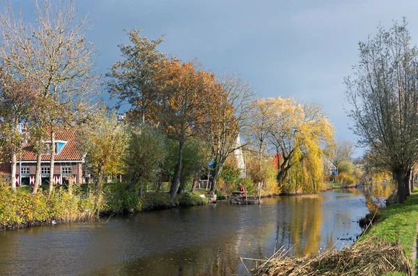 Het Alblasserwaard Polder Landschap — 图库照片