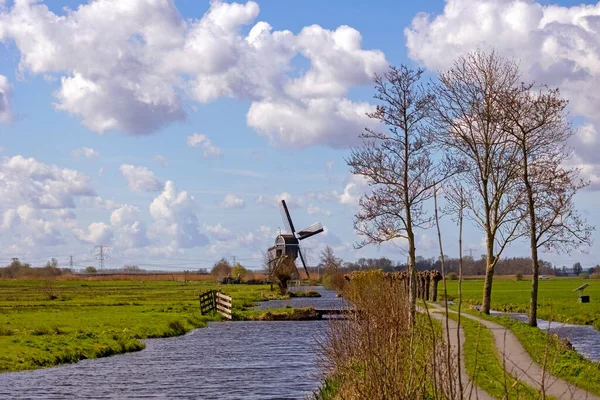 Het Alblasserwaard polder manzara