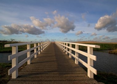 Het Alblasserwaard polder manzara