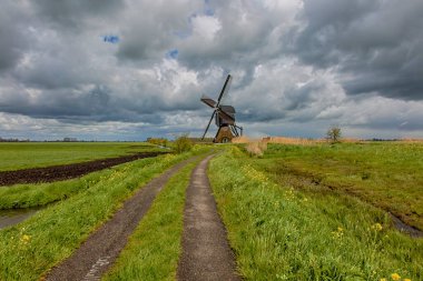 Het Alblasserwaard polder manzara