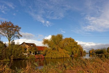 Het Alblasserwaard polder manzara