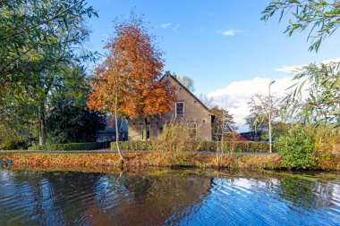 Het Alblasserwaard polder manzara