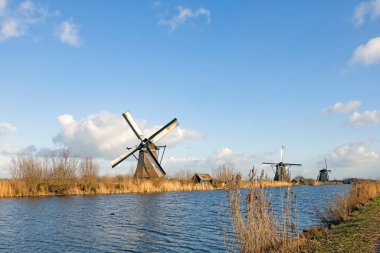 Het Alblasserwaard polder manzara