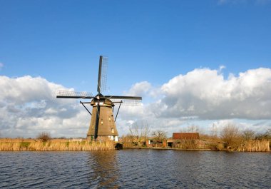 Het Alblasserwaard polder manzara