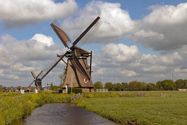 Het Alblasserwaard polder manzara