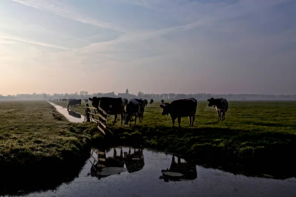 Het Alblasserwaard polder manzara