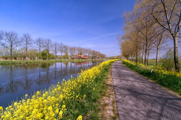 Het Alblasserwaard polder manzara