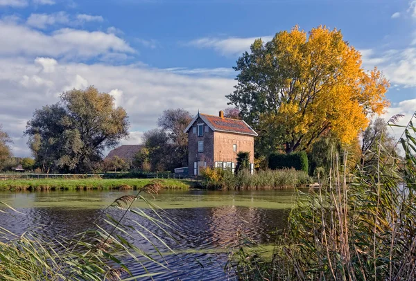 Het Alblasserwaard polder manzara