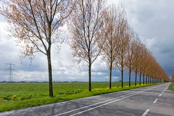 Het Alblasserwaard polder manzara