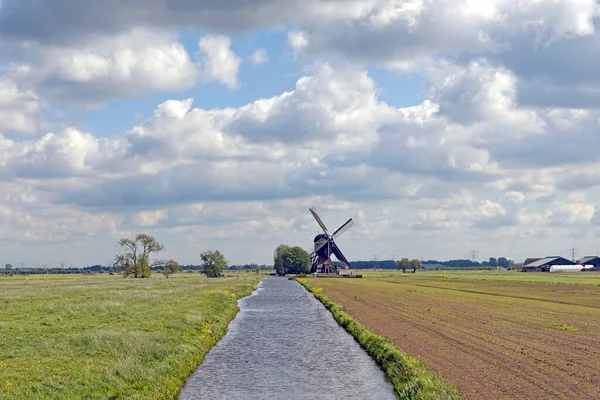 Het Alblasserwaard polder manzara