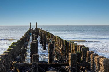 Kutup liderleri, Hollanda sahilinin koruyucuları.