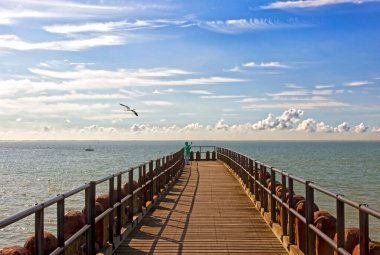 Kutup liderleri, Hollanda sahilinin koruyucuları.