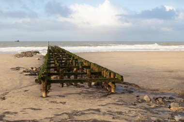 Kutup liderleri, Hollanda sahilinin koruyucuları.