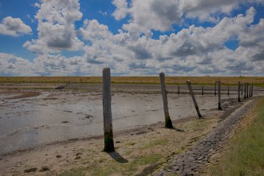 Kutup liderleri, Hollanda sahilinin koruyucuları.