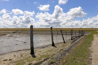 Kutup liderleri, Hollanda sahilinin koruyucuları.