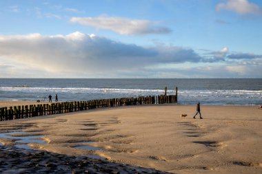Kutup liderleri, Hollanda sahilinin koruyucuları.