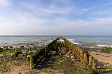 Kutup liderleri, Hollanda sahilinin koruyucuları.