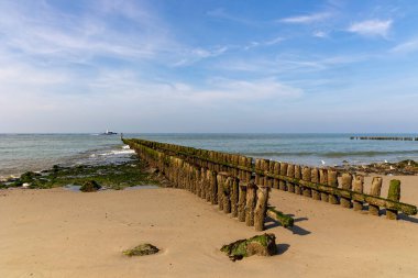 Kutup liderleri, Hollanda sahilinin koruyucuları.